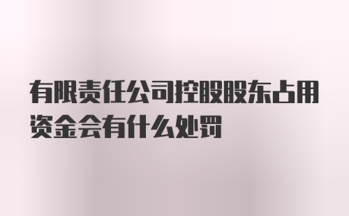 有限责任公司控股股东占用资金会有什么处罚