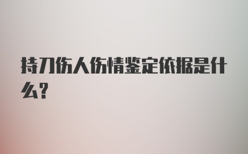 持刀伤人伤情鉴定依据是什么?