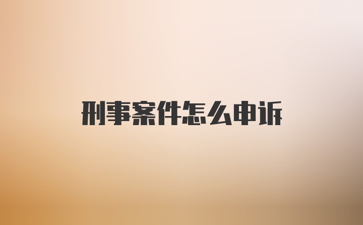 刑事案件怎么申诉