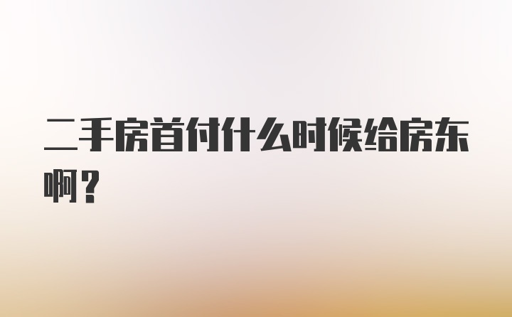 二手房首付什么时候给房东啊？