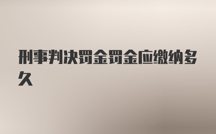 刑事判决罚金罚金应缴纳多久