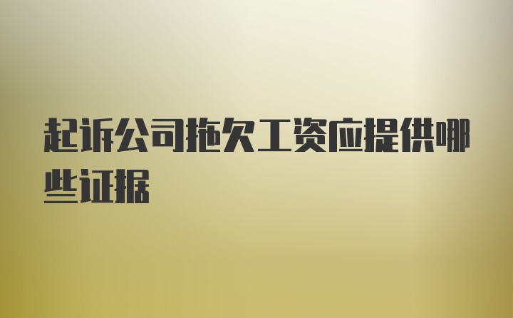 起诉公司拖欠工资应提供哪些证据