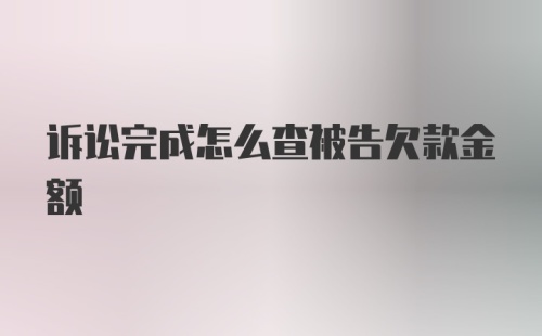 诉讼完成怎么查被告欠款金额