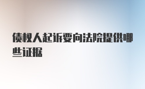 债权人起诉要向法院提供哪些证据