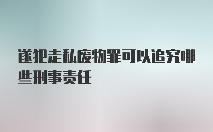 遂犯走私废物罪可以追究哪些刑事责任