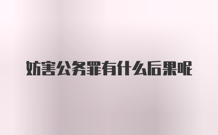 妨害公务罪有什么后果呢