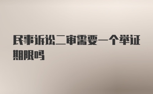 民事诉讼二审需要一个举证期限吗
