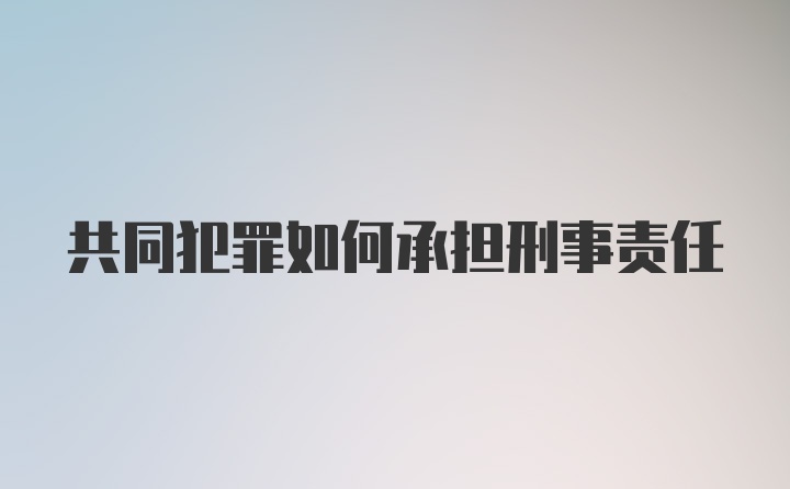 共同犯罪如何承担刑事责任