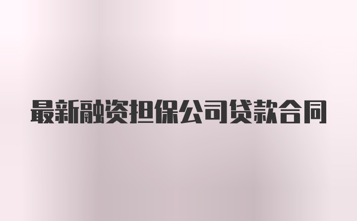 最新融资担保公司贷款合同