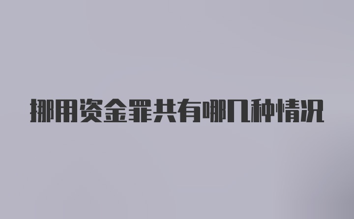 挪用资金罪共有哪几种情况