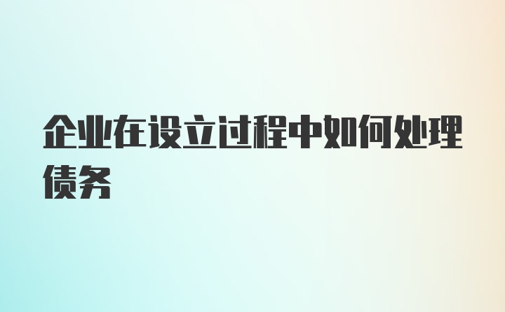 企业在设立过程中如何处理债务