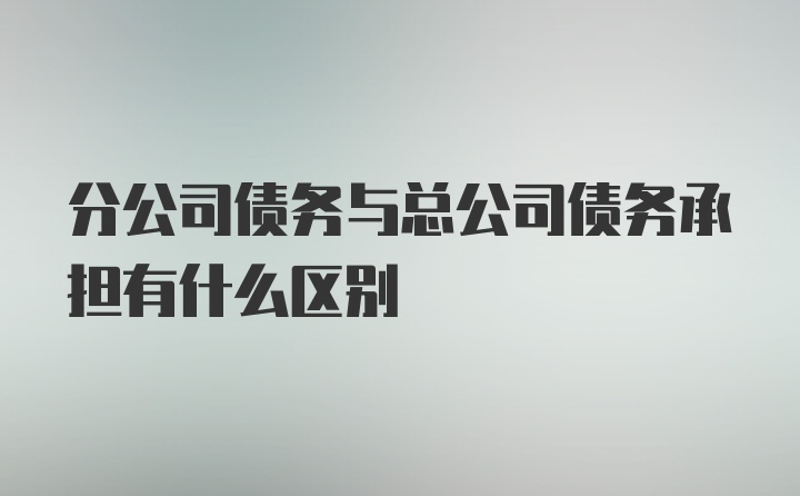 分公司债务与总公司债务承担有什么区别