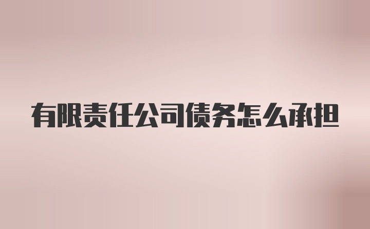 有限责任公司债务怎么承担