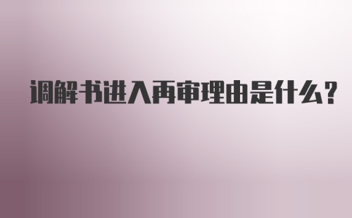 调解书进入再审理由是什么？