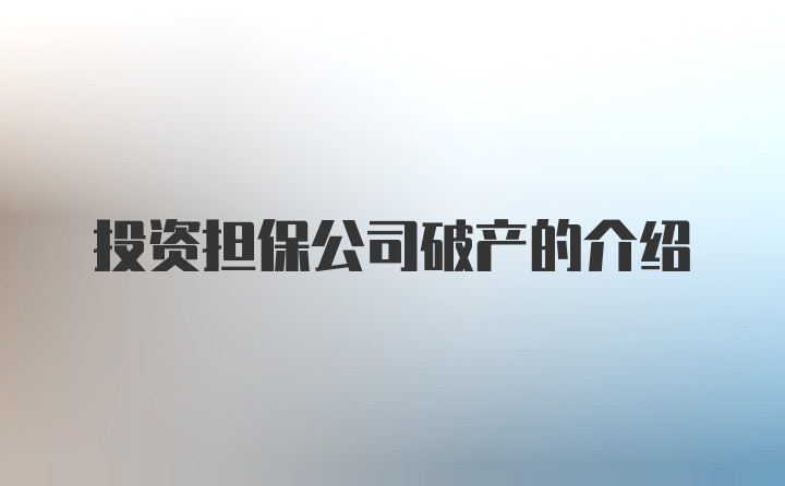 投资担保公司破产的介绍