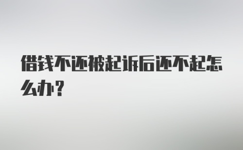 借钱不还被起诉后还不起怎么办？