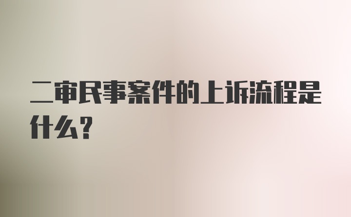 二审民事案件的上诉流程是什么？