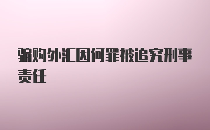 骗购外汇因何罪被追究刑事责任