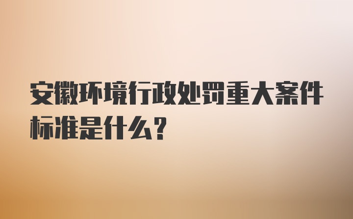 安徽环境行政处罚重大案件标准是什么？