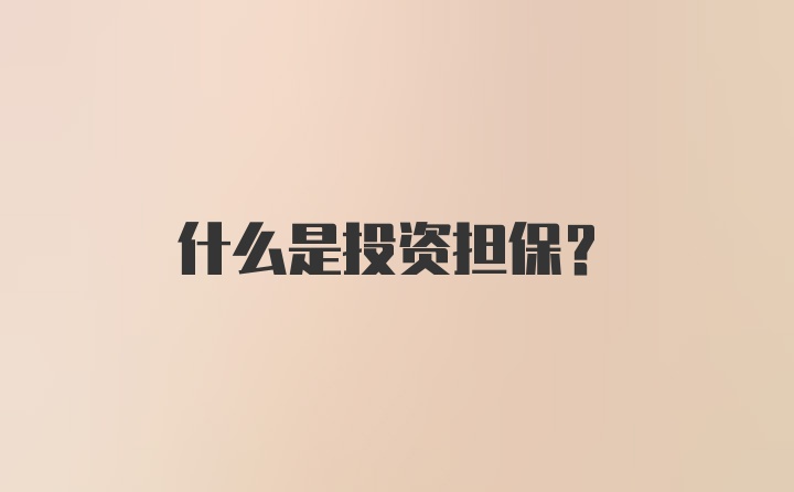 什么是投资担保?