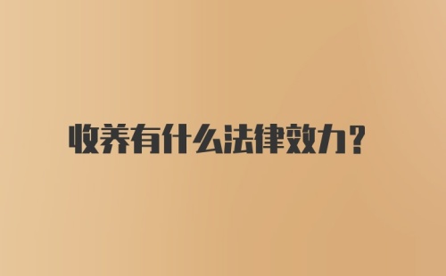 收养有什么法律效力?