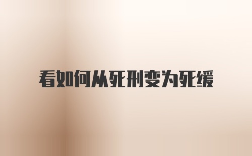 看如何从死刑变为死缓