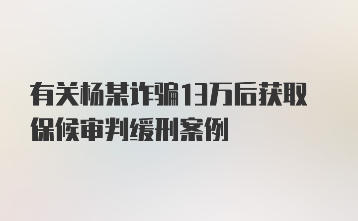 有关杨某诈骗13万后获取保候审判缓刑案例