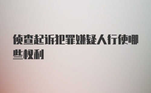 侦查起诉犯罪嫌疑人行使哪些权利