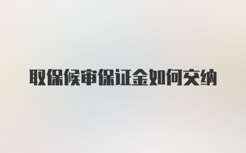 取保候审保证金如何交纳