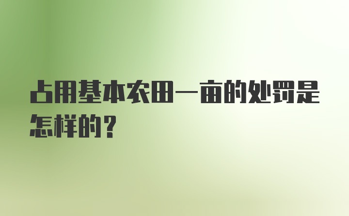 占用基本农田一亩的处罚是怎样的？