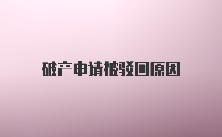 破产申请被驳回原因