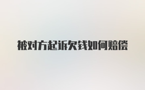 被对方起诉欠钱如何赔偿