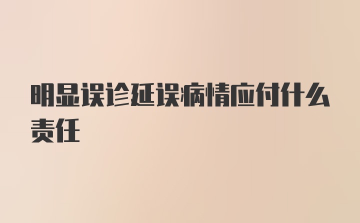 明显误诊延误病情应付什么责任