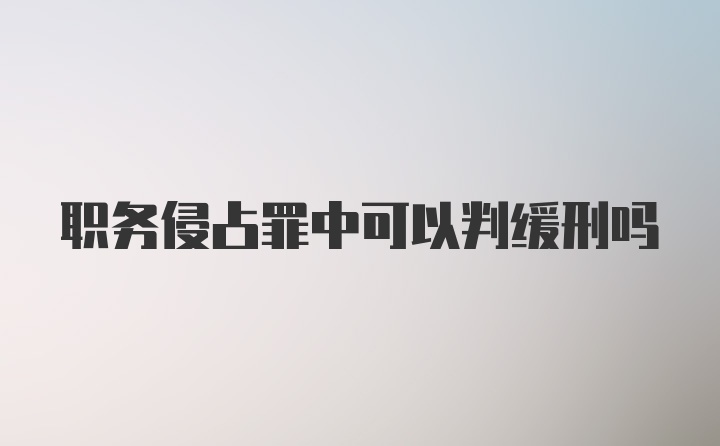 职务侵占罪中可以判缓刑吗