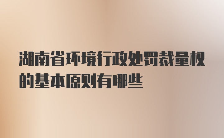 湖南省环境行政处罚裁量权的基本原则有哪些