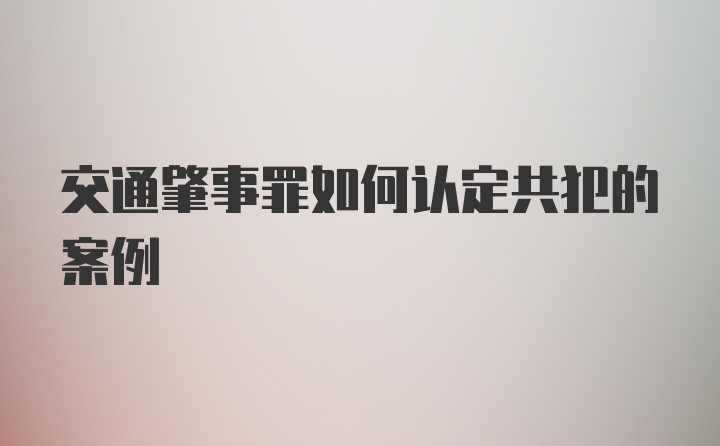 交通肇事罪如何认定共犯的案例