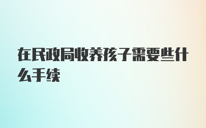 在民政局收养孩子需要些什么手续