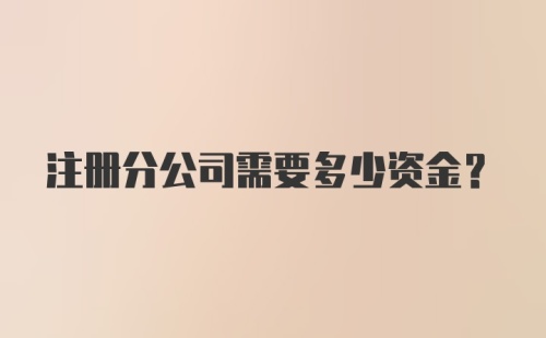 注册分公司需要多少资金？