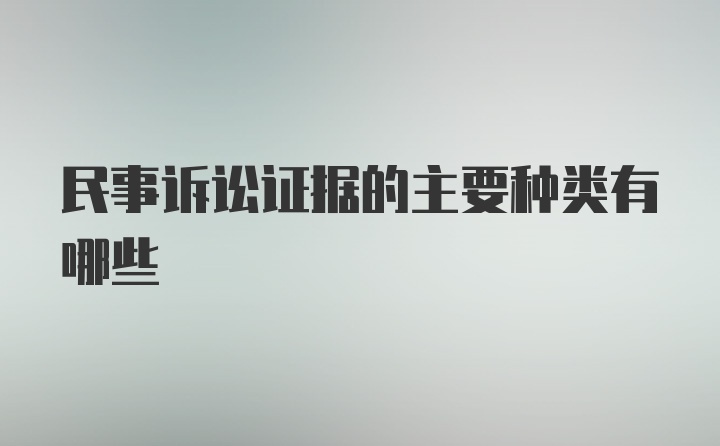 民事诉讼证据的主要种类有哪些