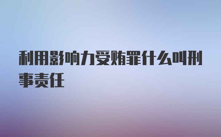 利用影响力受贿罪什么叫刑事责任