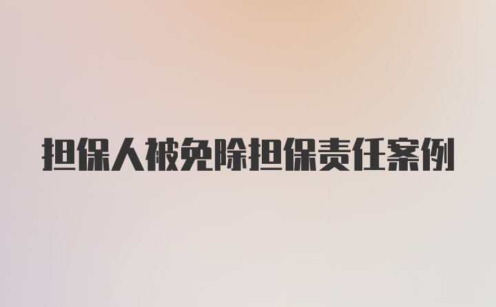 担保人被免除担保责任案例