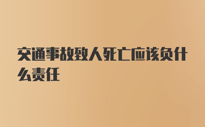 交通事故致人死亡应该负什么责任