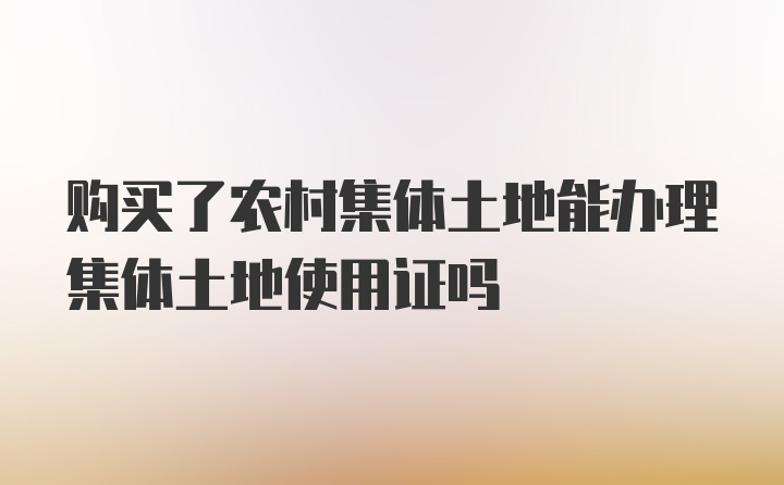 购买了农村集体土地能办理集体土地使用证吗