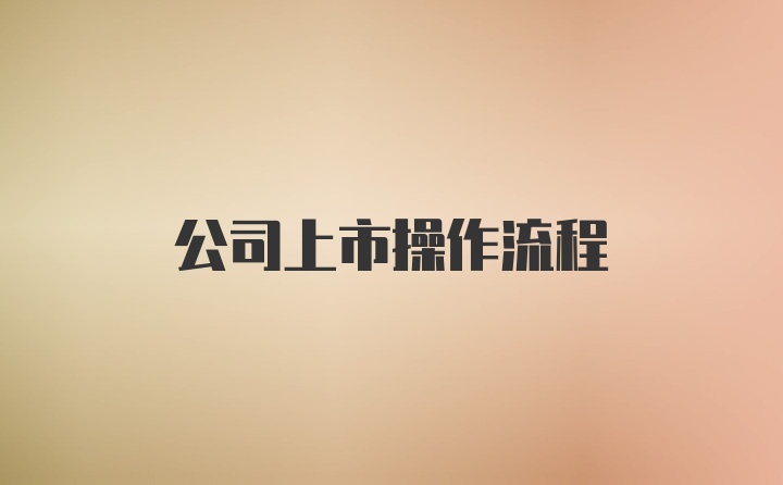 公司上市操作流程