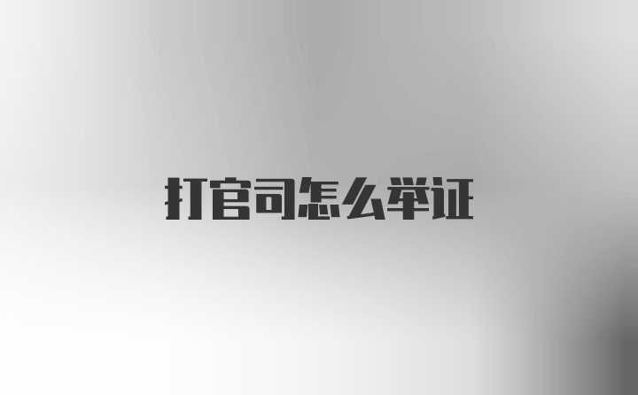 打官司怎么举证