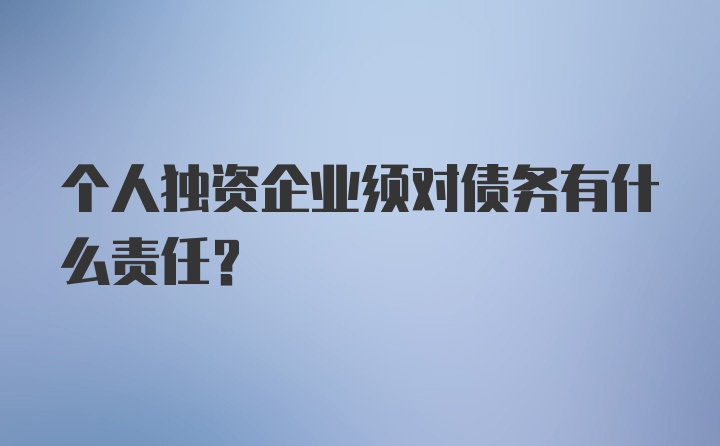 个人独资企业须对债务有什么责任?