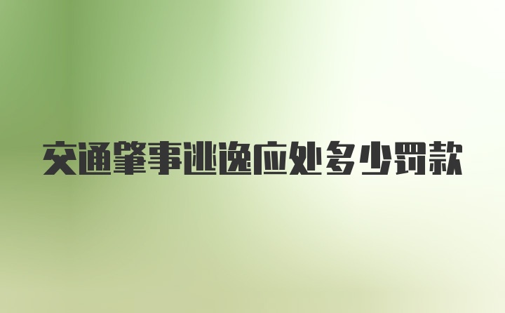 交通肇事逃逸应处多少罚款