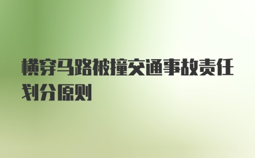 横穿马路被撞交通事故责任划分原则