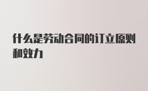 什么是劳动合同的订立原则和效力