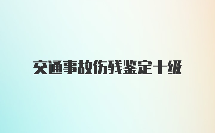 交通事故伤残鉴定十级